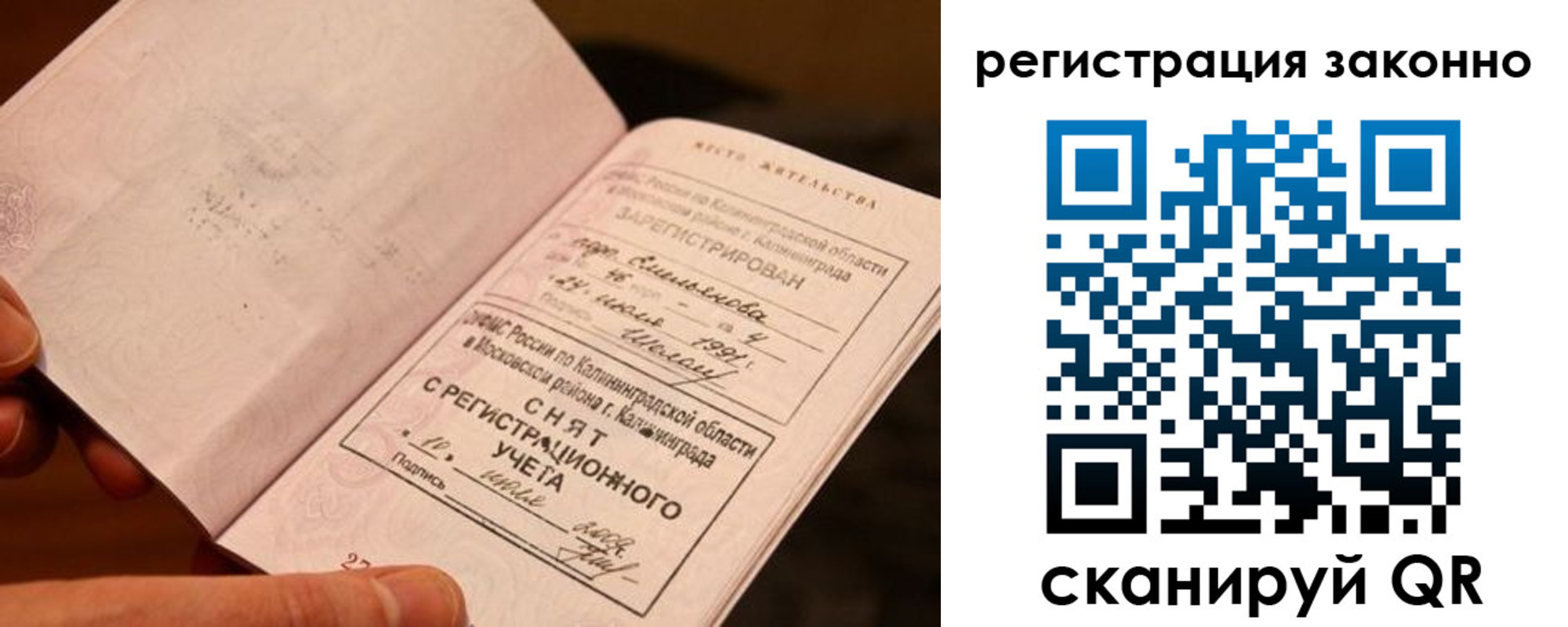 прописка поиск в Светлом